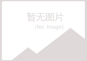 铁岭冰夏计算机有限公司